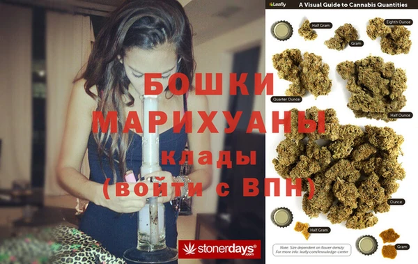 гидра Медвежьегорск