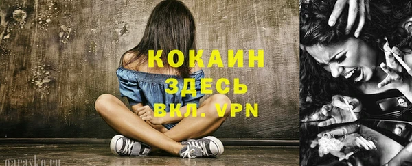 ECSTASY Медногорск