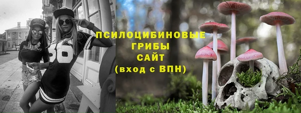 гидра Медвежьегорск