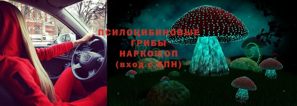 ECSTASY Медногорск