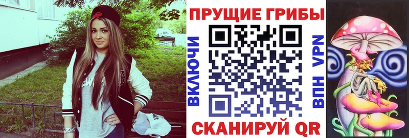 Галлюциногенные грибы Psilocybine cubensis Купить Дальнегорск